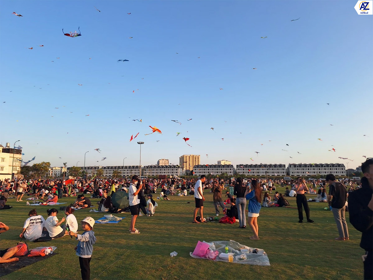 canh dong dieu the global city